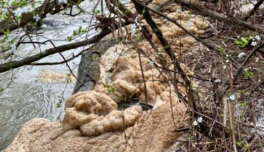 Environment Agency issues no-swim warning as it investigates suspected pollution in the Avon at The Old Bathing Place, Stratford-upon-Avon