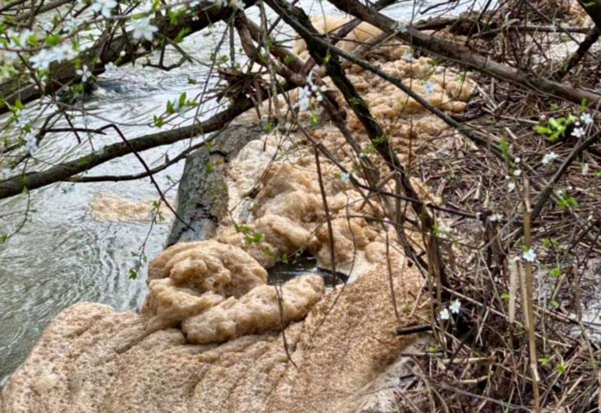 Environment Agency issues no-swim warning as it investigates suspected pollution in the Avon at The Old Bathing Place, Stratford-upon-Avon