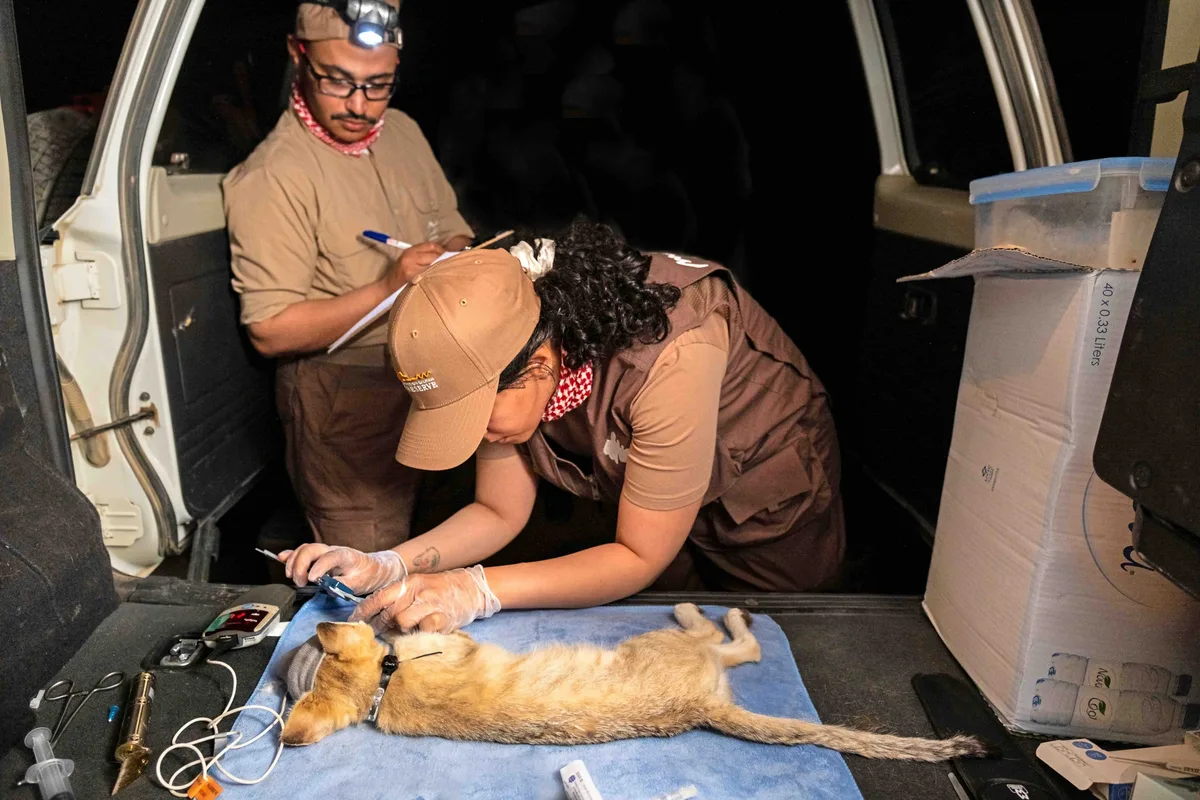 Reserve ecologists record data