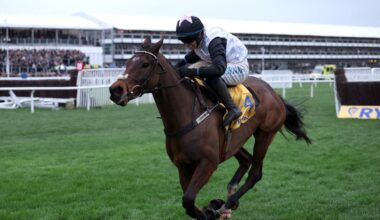 Cheltenham Festival LIVE tips and results: Ask Brewster wins 5.20pm