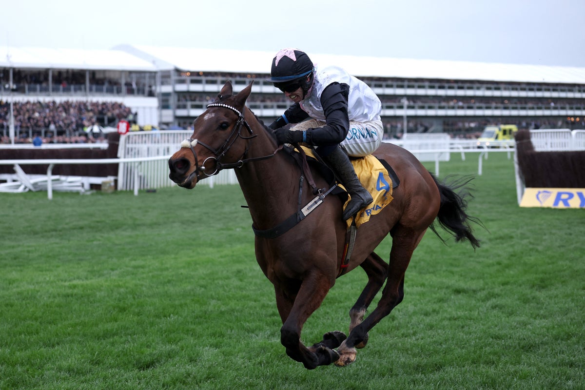 Cheltenham Festival LIVE tips and results: Ask Brewster wins 5.20pm