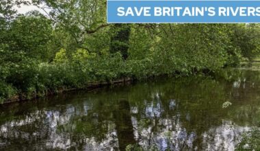 The idyllic chalk stream 'left polluted' by a Waitrose salad supplier
