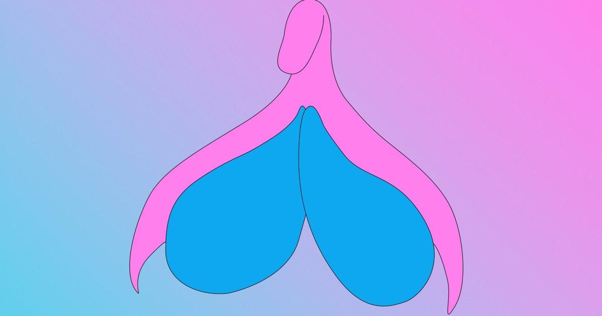 If you can identify this body part you're smarter than 97% of the UK population