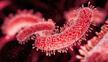 Legionnaires' disease outbreak spreads across two areas of London | News UK