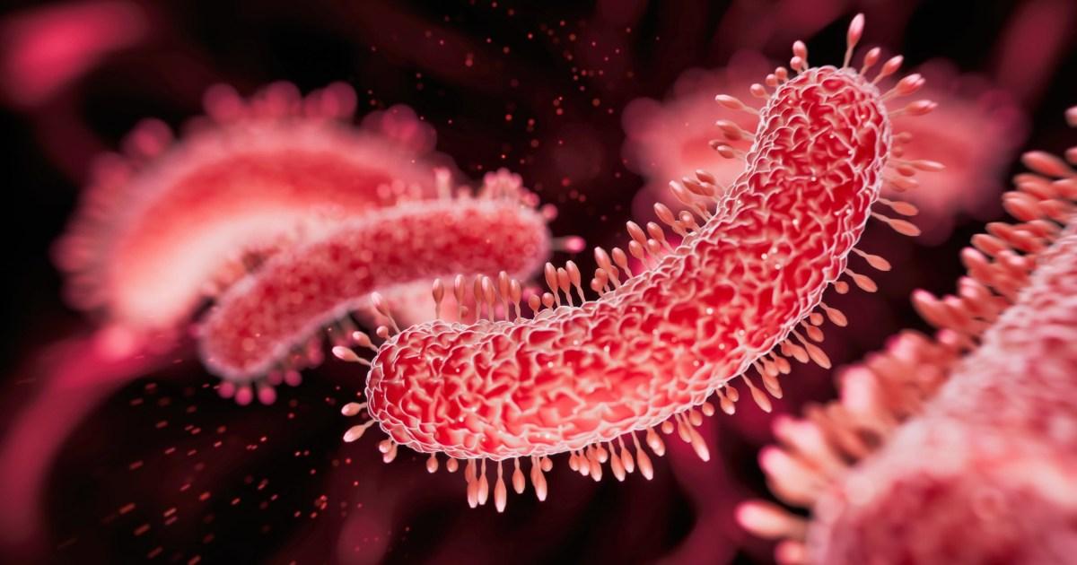 Legionnaires' disease outbreak spreads across two areas of London | News UK
