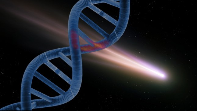 An asteroid with everything you need to make DNA is in our solar system Getty Images