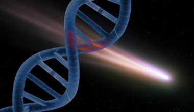 Asteroid containing what you need to make DNA is in our solar system | News Tech