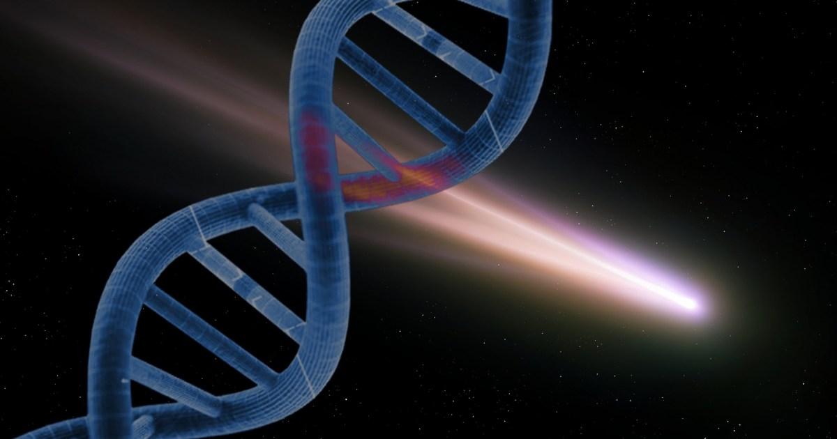 Asteroid containing what you need to make DNA is in our solar system | News Tech