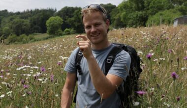 I'm a wildlife expert - here's how we can save the bees (and ourselves)