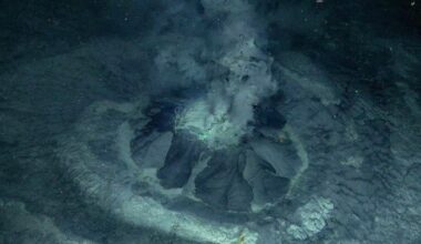Scientists Discover A Giant 300 Meter Crater Hiding A Rare Underwater Volcano From The End Of The Ice Age