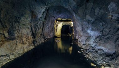 Scientists Dive Into A Flooded Texas Cave And Discover A Massive Prehistoric Graveyard Hidden Underwater