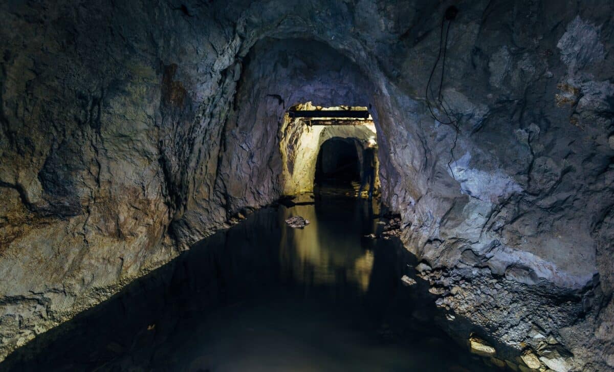 Scientists Dive Into A Flooded Texas Cave And Discover A Massive Prehistoric Graveyard Hidden Underwater