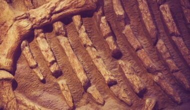 Scientists Find Hemoglobin Traces In Dinosaur Bones Once Thought Impossible To Preserve For Millions Of Years