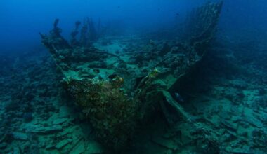 Scientists Found Two 170 Year Old Bottles Of Beer In Shipwreck, Are They Still Good To Drink