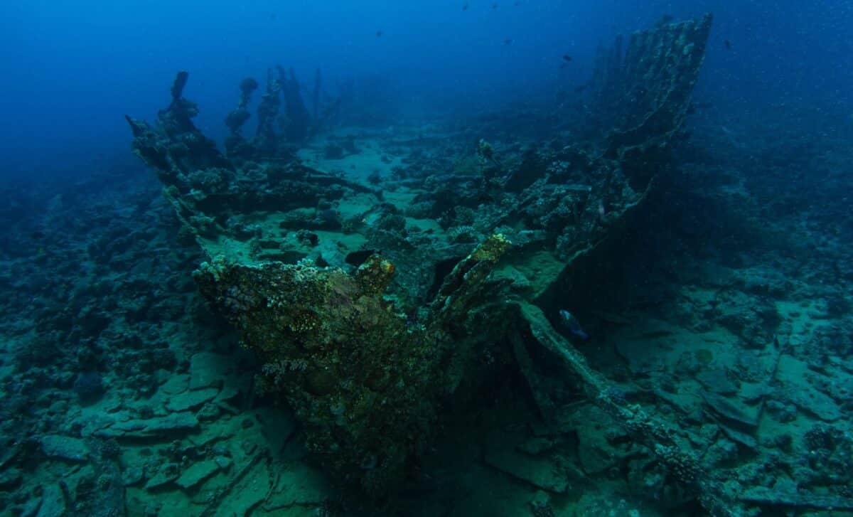 Scientists Found Two 170 Year Old Bottles Of Beer In Shipwreck, Are They Still Good To Drink