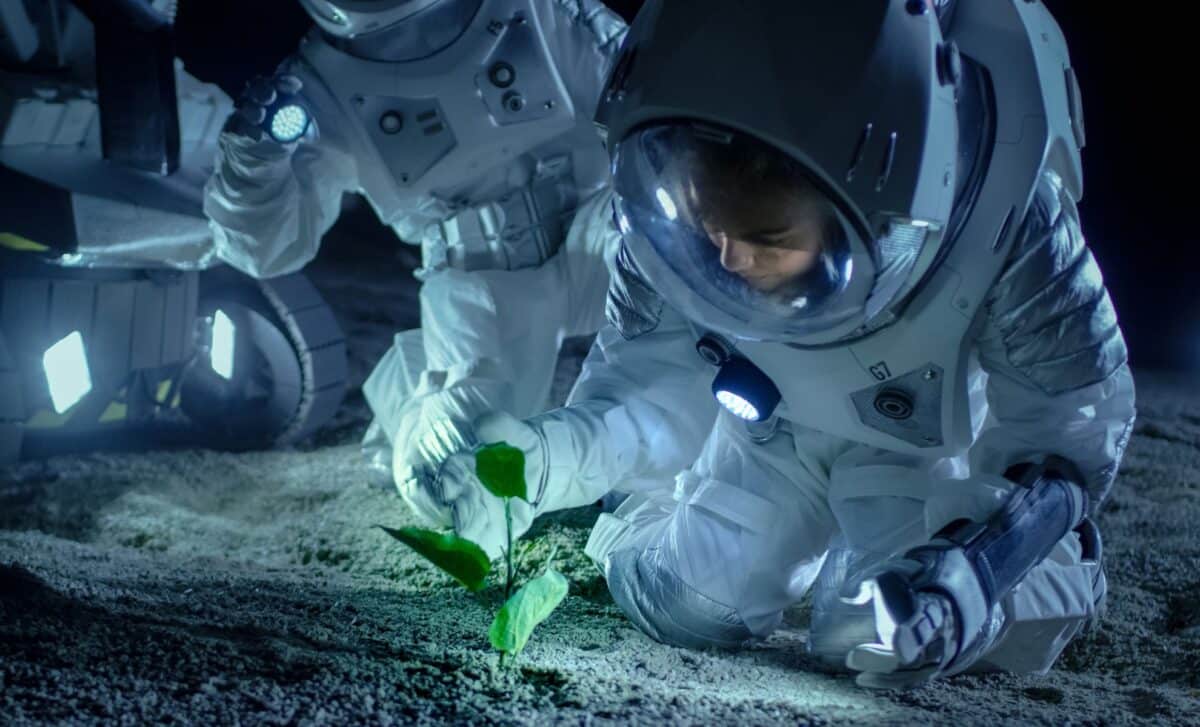 Scientists Have Just Successfully Grown Chickpeas In Lunar Soil For The First Time