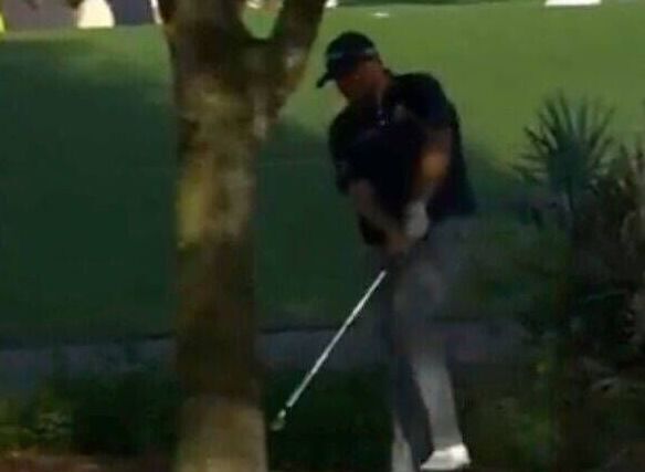 Shane Lowry hitting a tree with his golf club