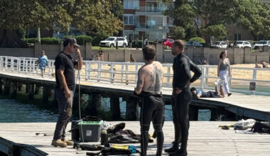 Council says sharks STILL inside Balmoral Baths – with specialist divers set to return on Friday.