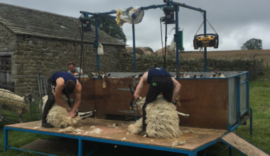 Overseas shearers hit with UK visa charge and biometrics