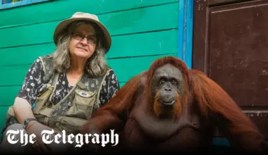 Biruté Galdikas, Louis Leakey protégée who became the world's foremost expert on orangutans – obituary