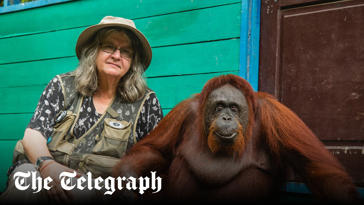 Biruté Galdikas, Louis Leakey protégée who became the world's foremost expert on orangutans – obituary