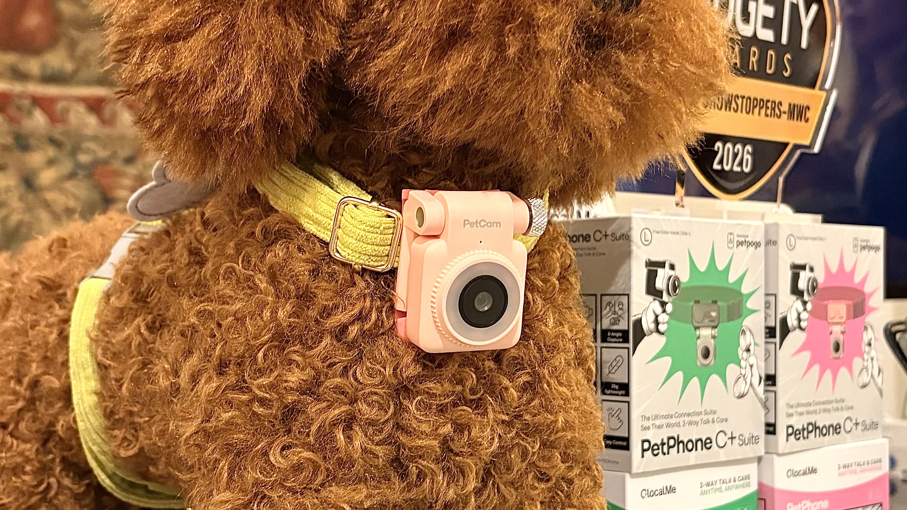 Close-up of the PetCam, a wearable pet camera and activity tracker
