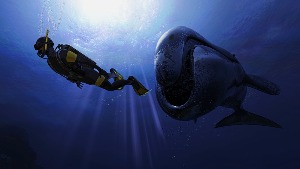 A,big,bowhead,whale,is,after,a,scuba,diver,getting