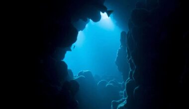 The Atlantic Ocean Is Hiding A 500 Kilometer Canyon, Scientists May Have Finally Found What Created It