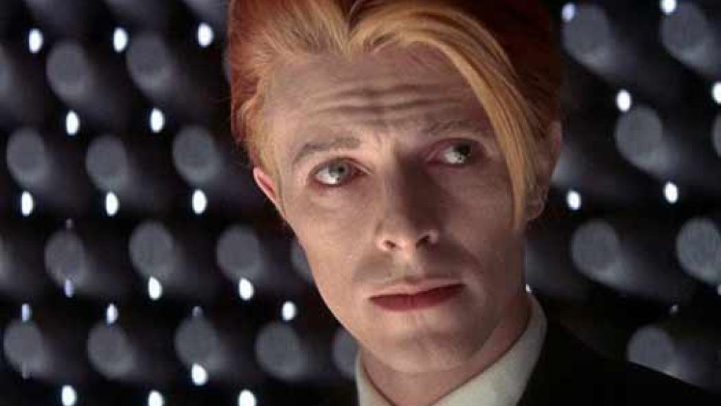 The Man Who Fell to Earth