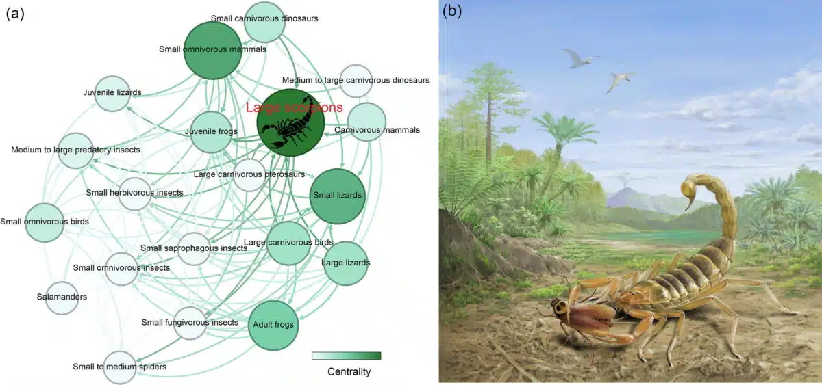 The Image Illustrates The Central Role Of Large Scorpions In The Early Cretaceous Food Web (a) And Shows A Giant Scorpion In Its Habitat (b).