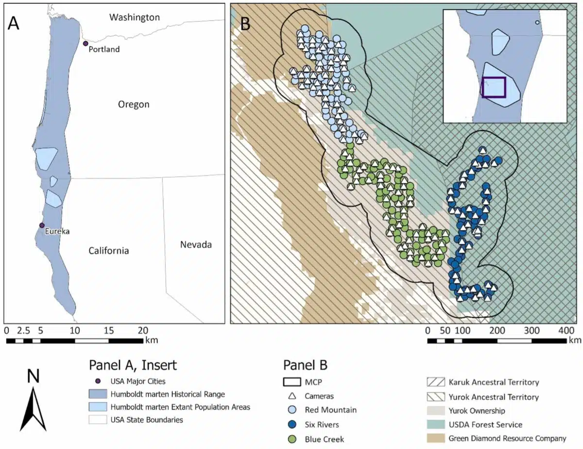 The Map Shows The Historical And Current Distribution Of The Humboldt Marten Across Northern California And Southern Oregon.