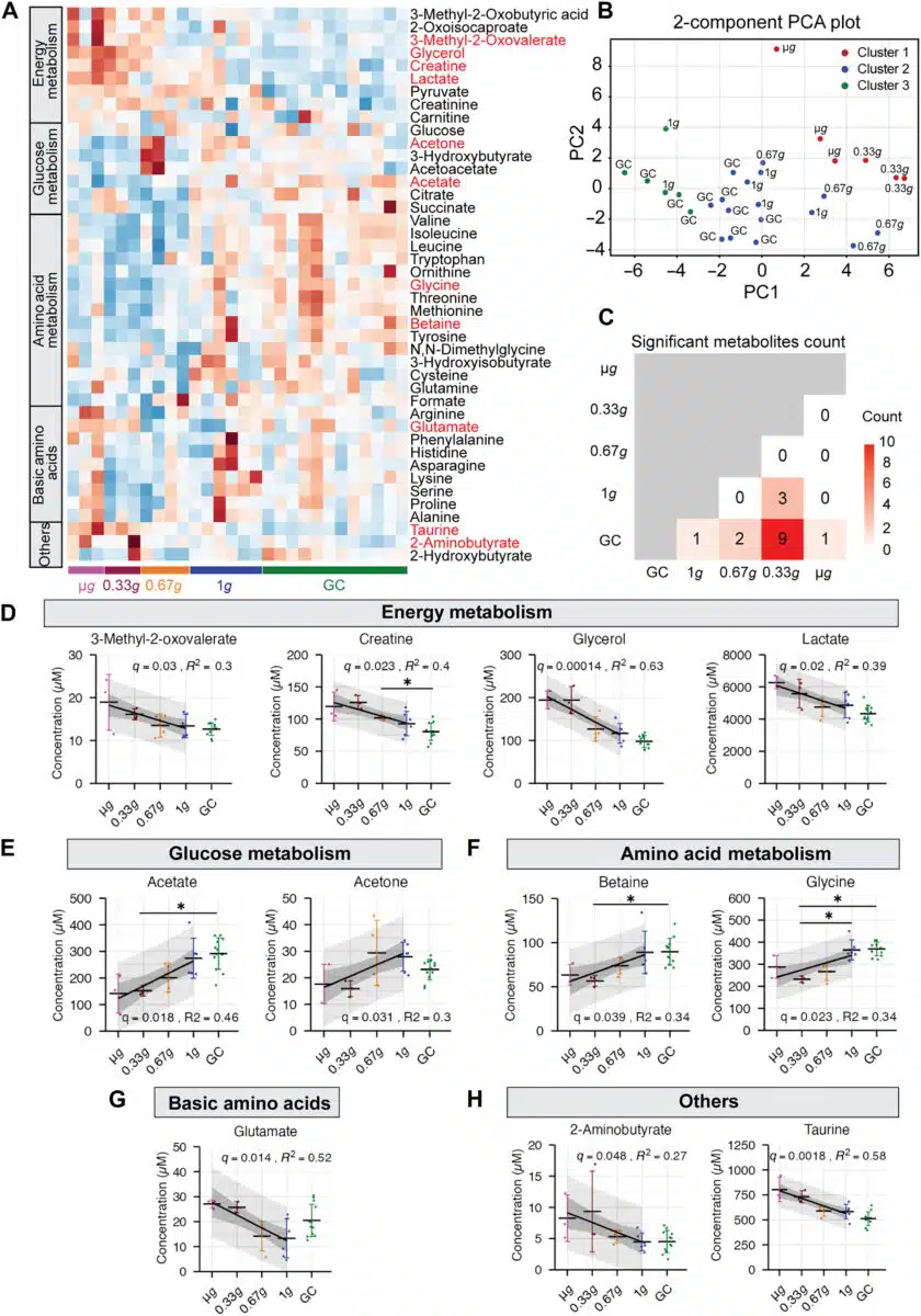 This Figure Shows Metabolic Changes In Mice Under Different Gravity Conditions During Spaceflight.