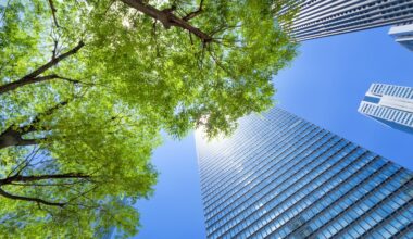 Urban trees emerge as the biggest carbon sink in cities