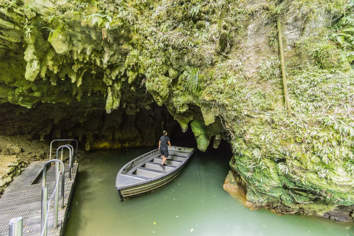 Water exit to Waitomo Caves in New Zealand where you can see the bioluminiscent glow worms arachnocampa luminosa