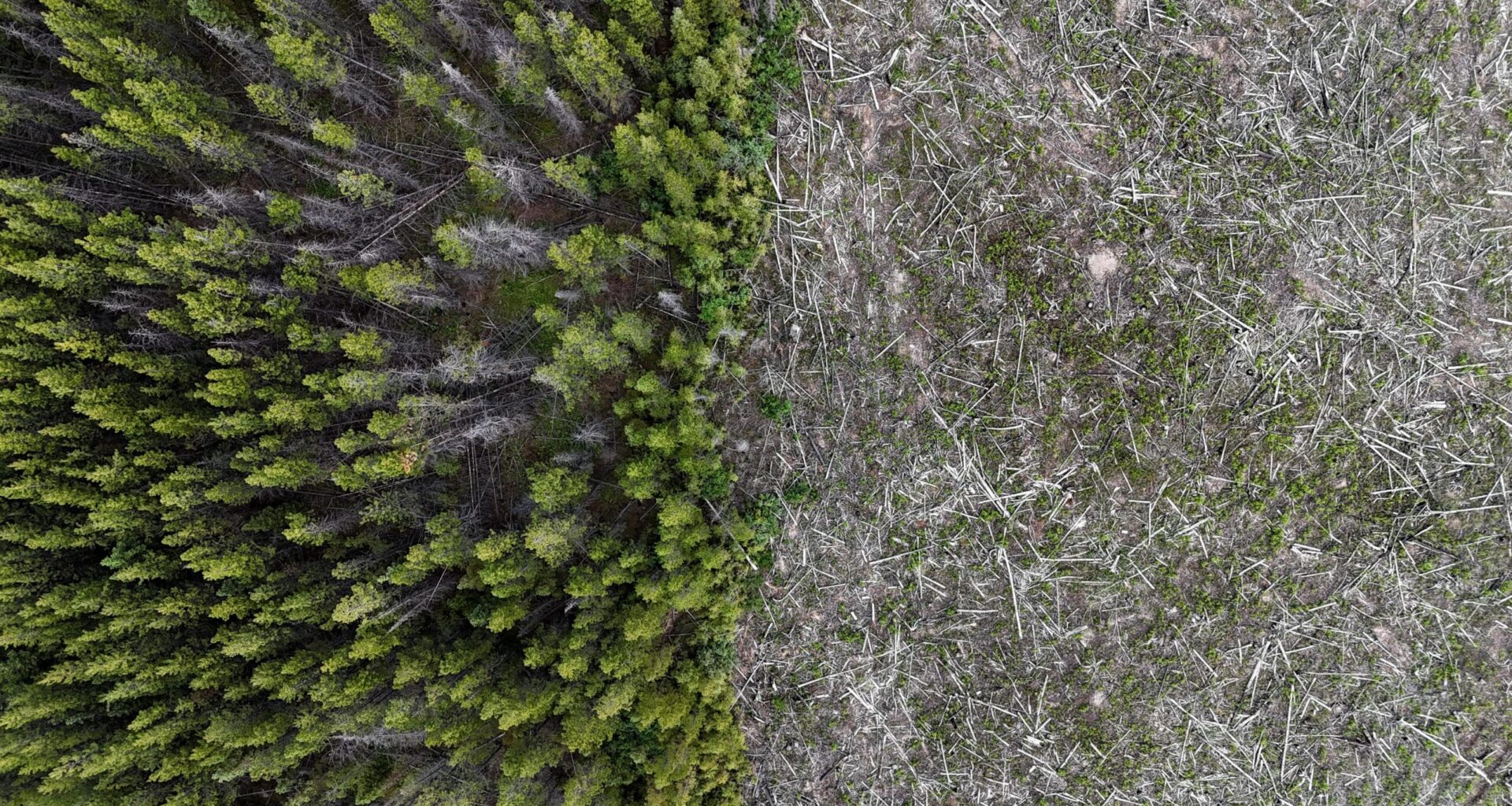 Drax to stop burning B.C. wood pellets for U.K. energy: A significant milestone for the climate