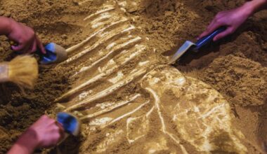 Workers Unearthed A Monstrous 3 Meter Long Creature Under A Construction Site