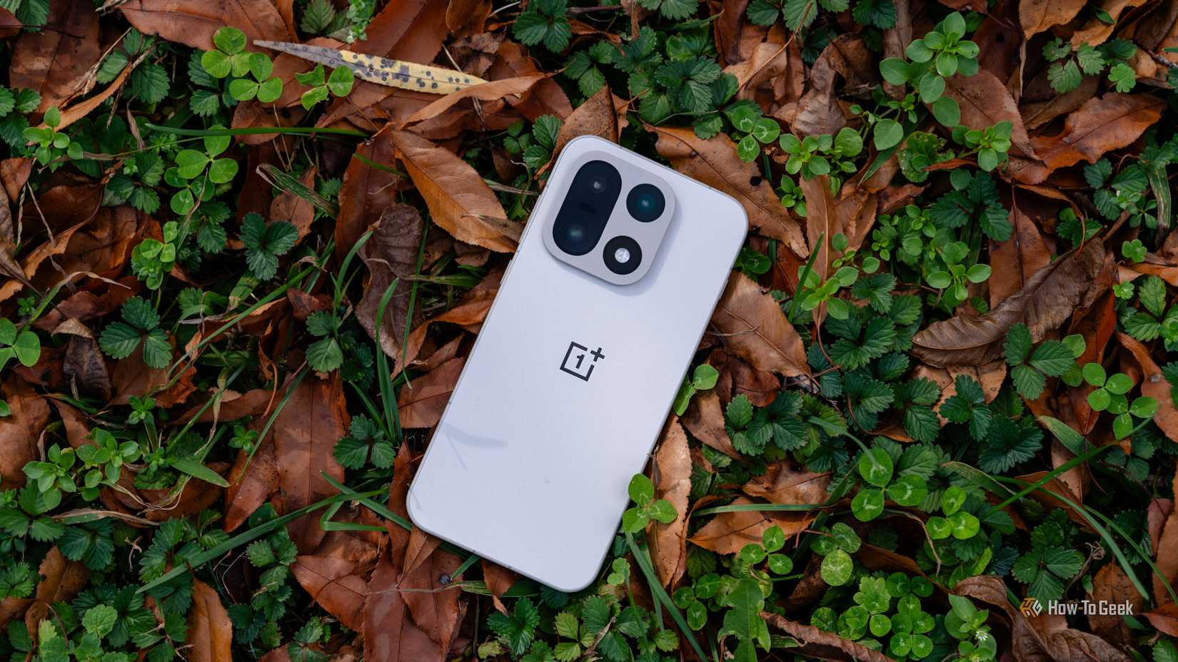 The back of the OnePlus 15 sitting in grass and leaves.