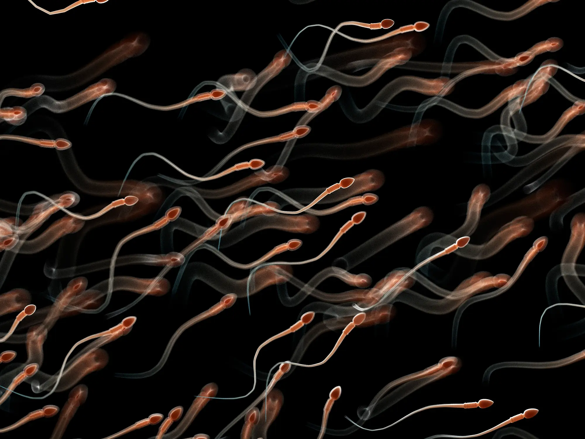 How to improve sperm health (Getty Stock Image)