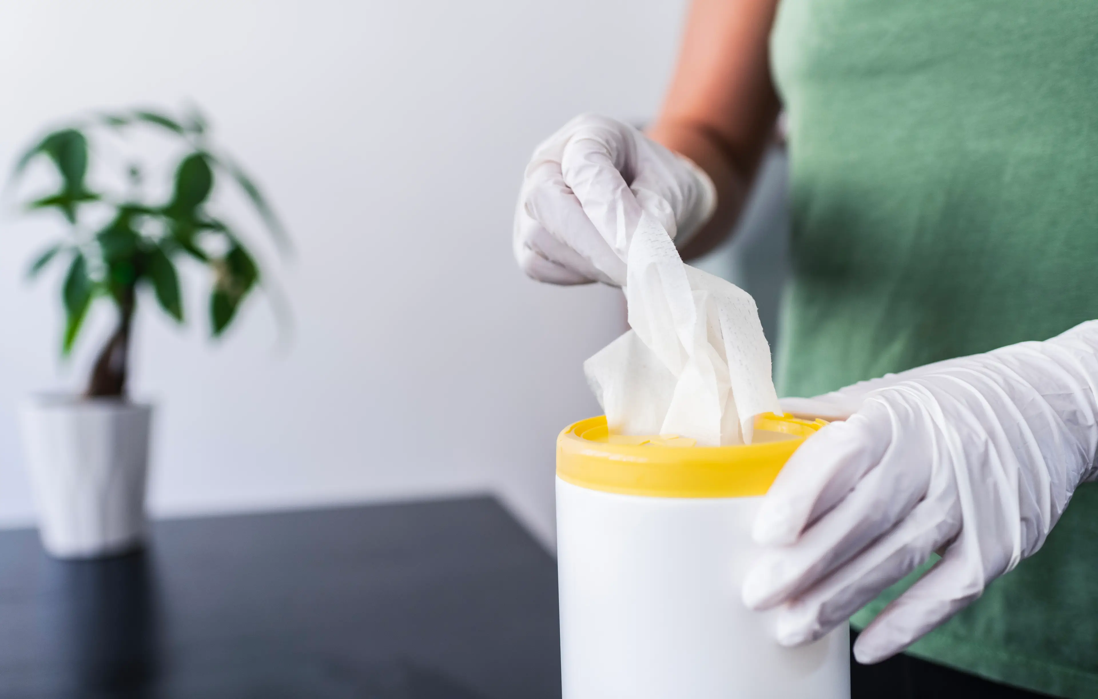 Testing found four brands of non-sterile alcohol-free wipes were contaminated with Burkholderia stabilis (Getty Stock Image)