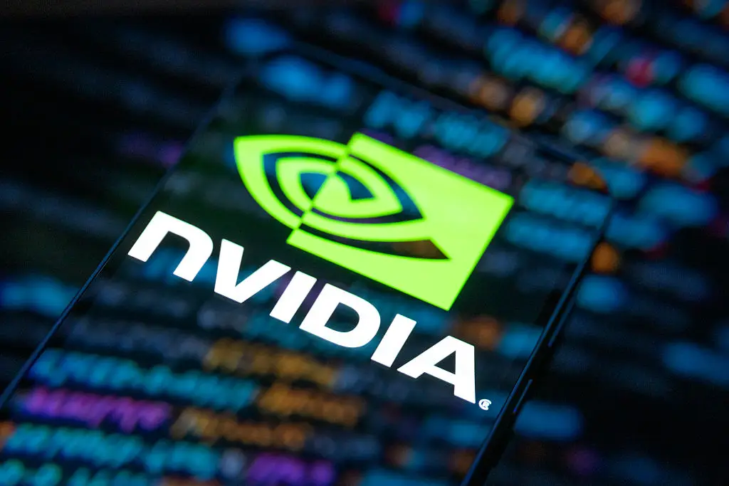 He bet against Nvidia, and thinks if future demand for AI falls off they'll be in trouble (Jonathan Raa/NurPhoto via Getty Images)