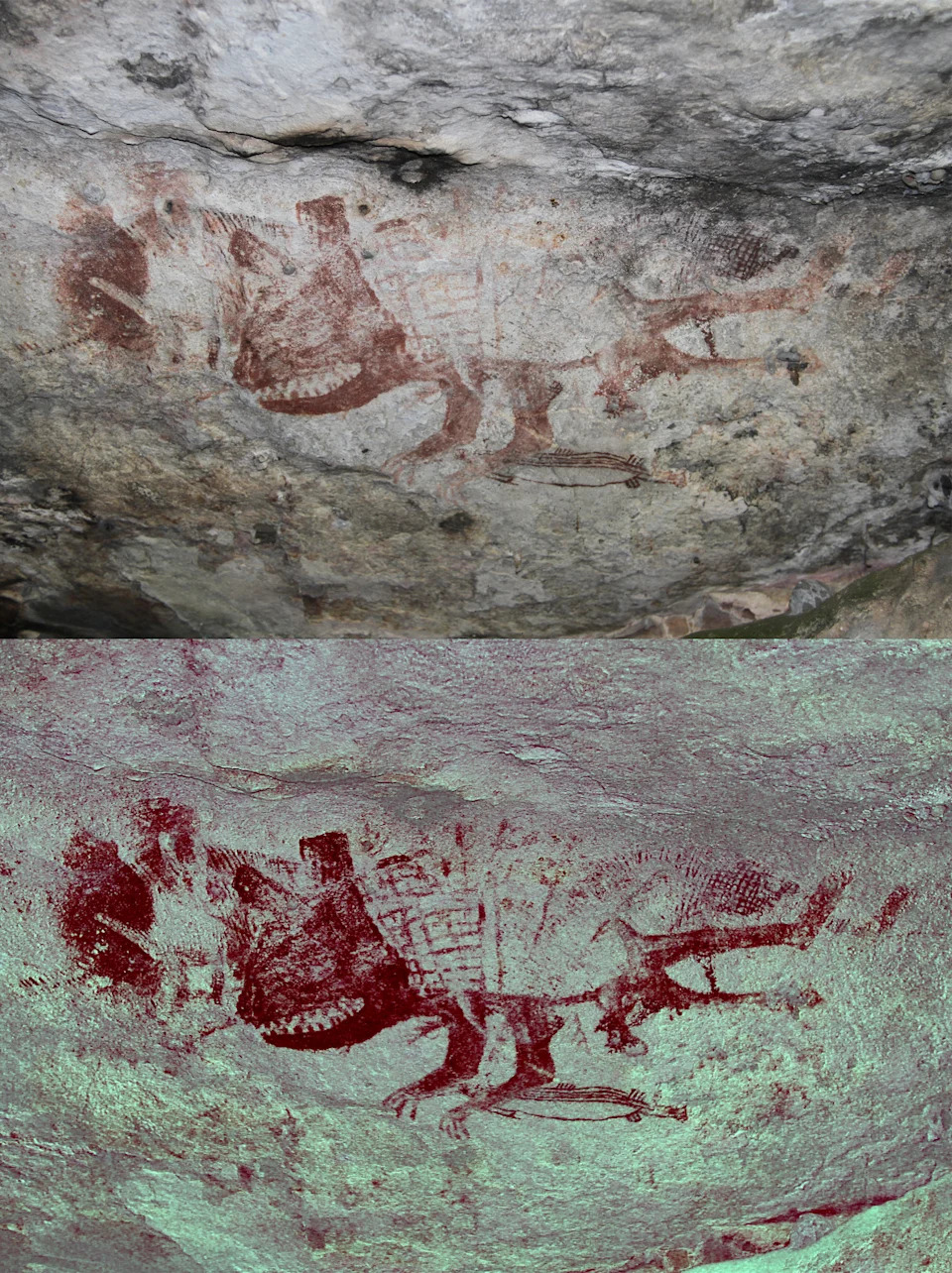 Top: A painting of a Tasmanian devil inside a cave. Bottom: An enhanced version of the image to show detail.