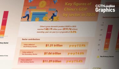 Graphics: China's GDP by sector in 2025 - news.cgtn.com