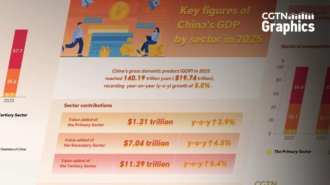 Graphics: China's GDP by sector in 2025 - news.cgtn.com