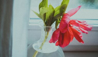 The Unexpected Benefit of Joining a Dying Profession