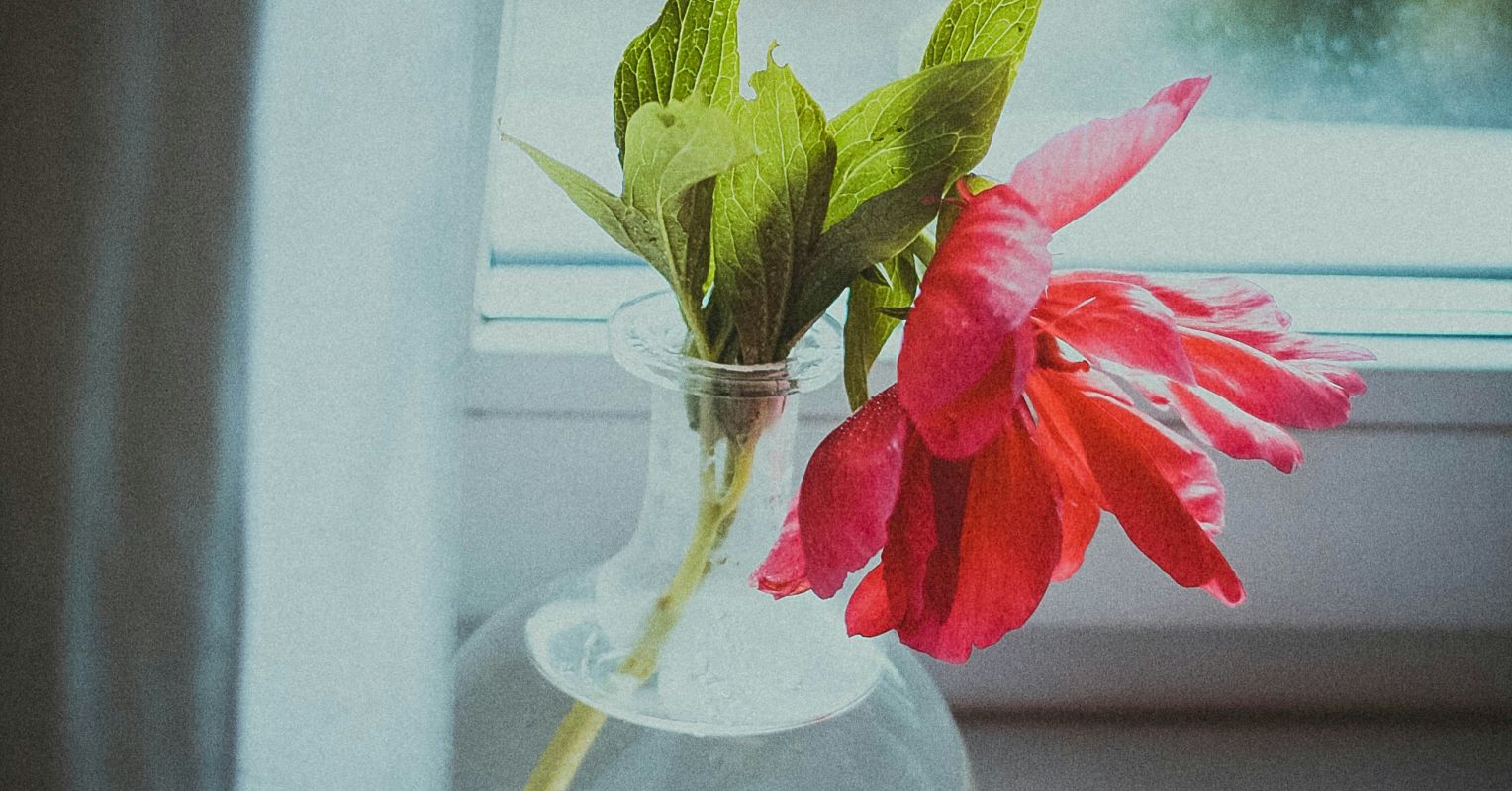 The Unexpected Benefit of Joining a Dying Profession