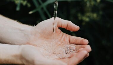 Portugal addresses illegal water use