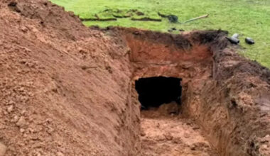 Yahoo lifestyle home