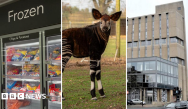 Photo of glass freezer doors in supermarket containing lots of colourful products