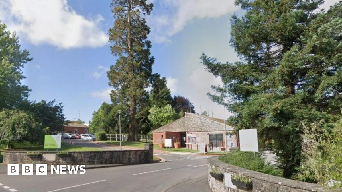 Picture of Lando Norris, Alexandra Saint Mleux, Lisa, Lewis Hamilton, Serena Williams, Charles Leclerc and Kim Kardashian