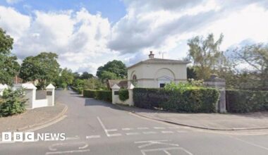 Road junction leading to housing with hedging along both sides of the road.